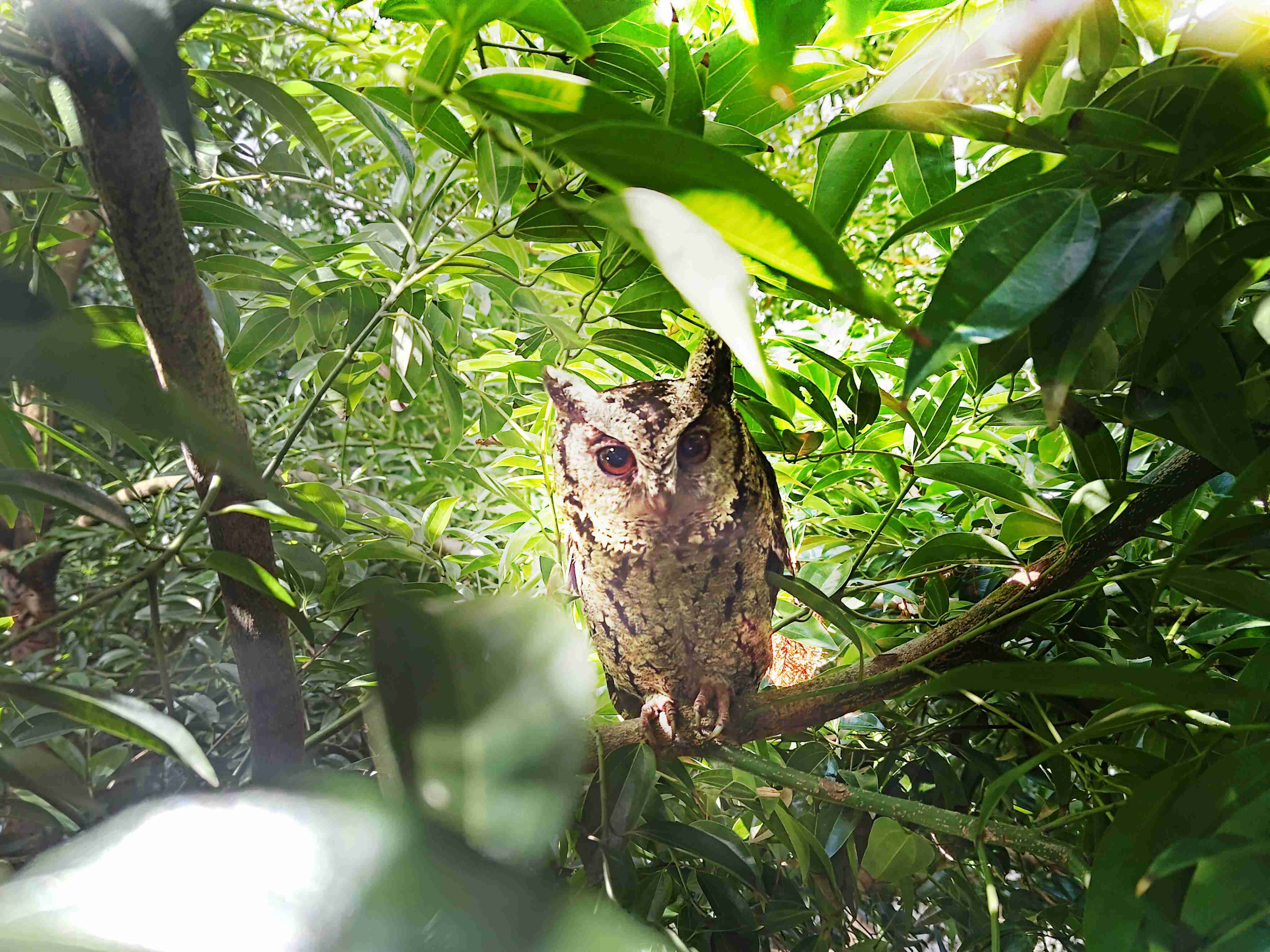 菠菜论坛致力提倡净零绿生活，，，，16年以来在全球各厂区植树逾百万棵，，，，造就各厂区树木蔚然成林，，，，犹如森林工厂，，，，成为许多生物的栖息地